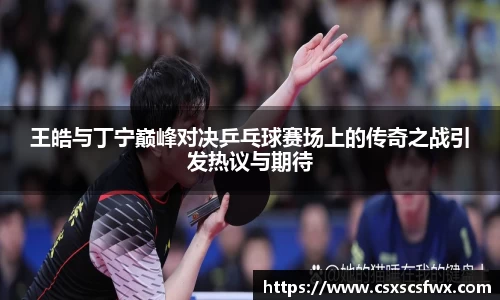 王皓与丁宁巅峰对决乒乓球赛场上的传奇之战引发热议与期待