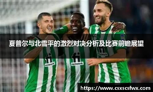 夏普尔与北雪平的激烈对决分析及比赛前瞻展望